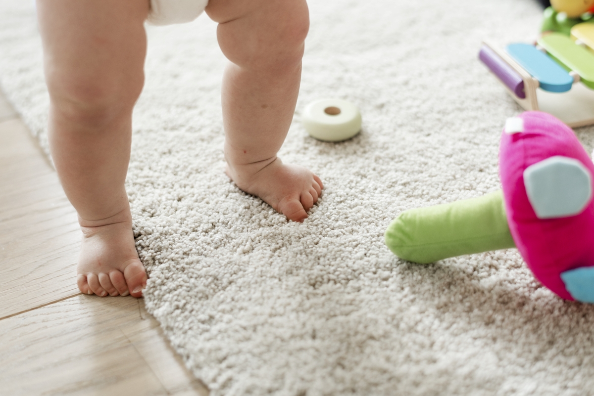 How to Pick the Best Carpet Cleaning Service for Your Home or Business