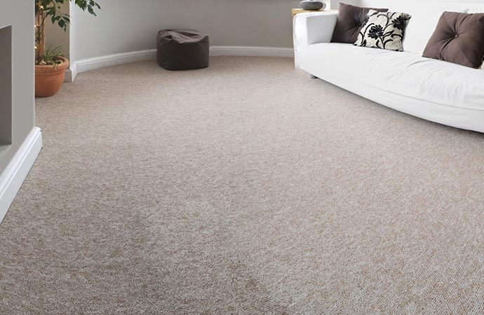 The Importance of Regular Carpet Cleaning