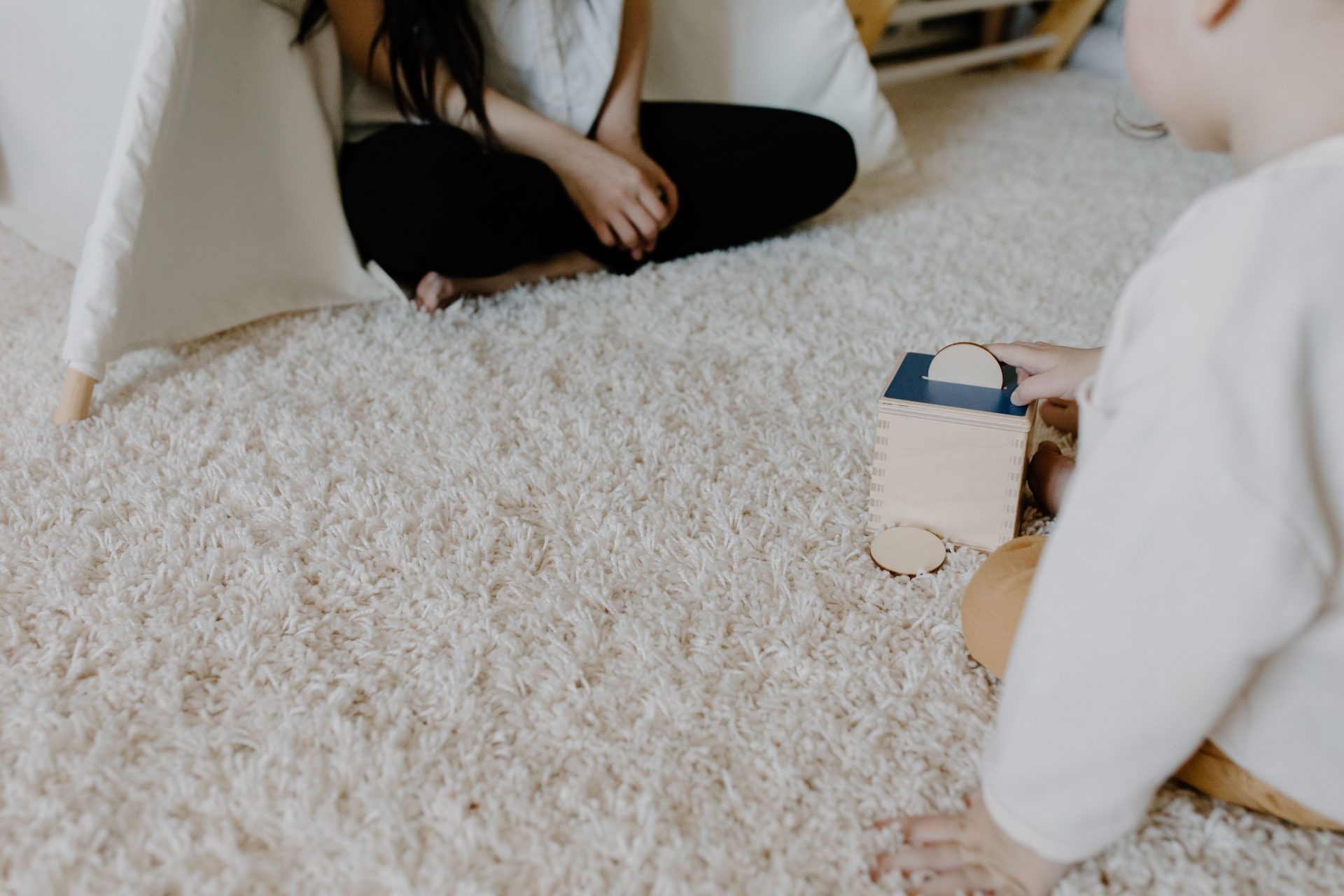 The Hidden Life of Your Carpet - Professional Surface Restoration