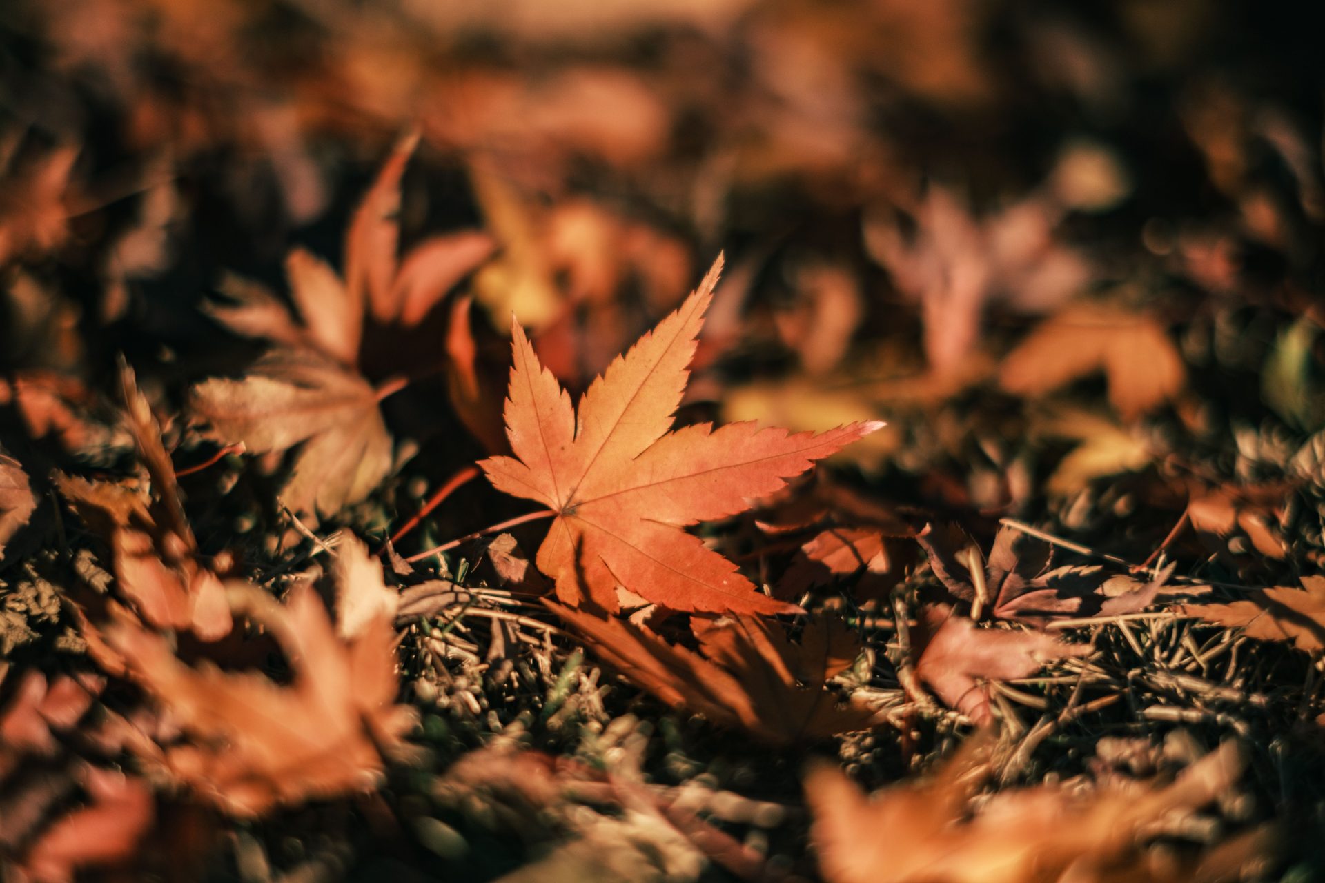 The Fall Cleaning Mistake - Professional Surface Restoration