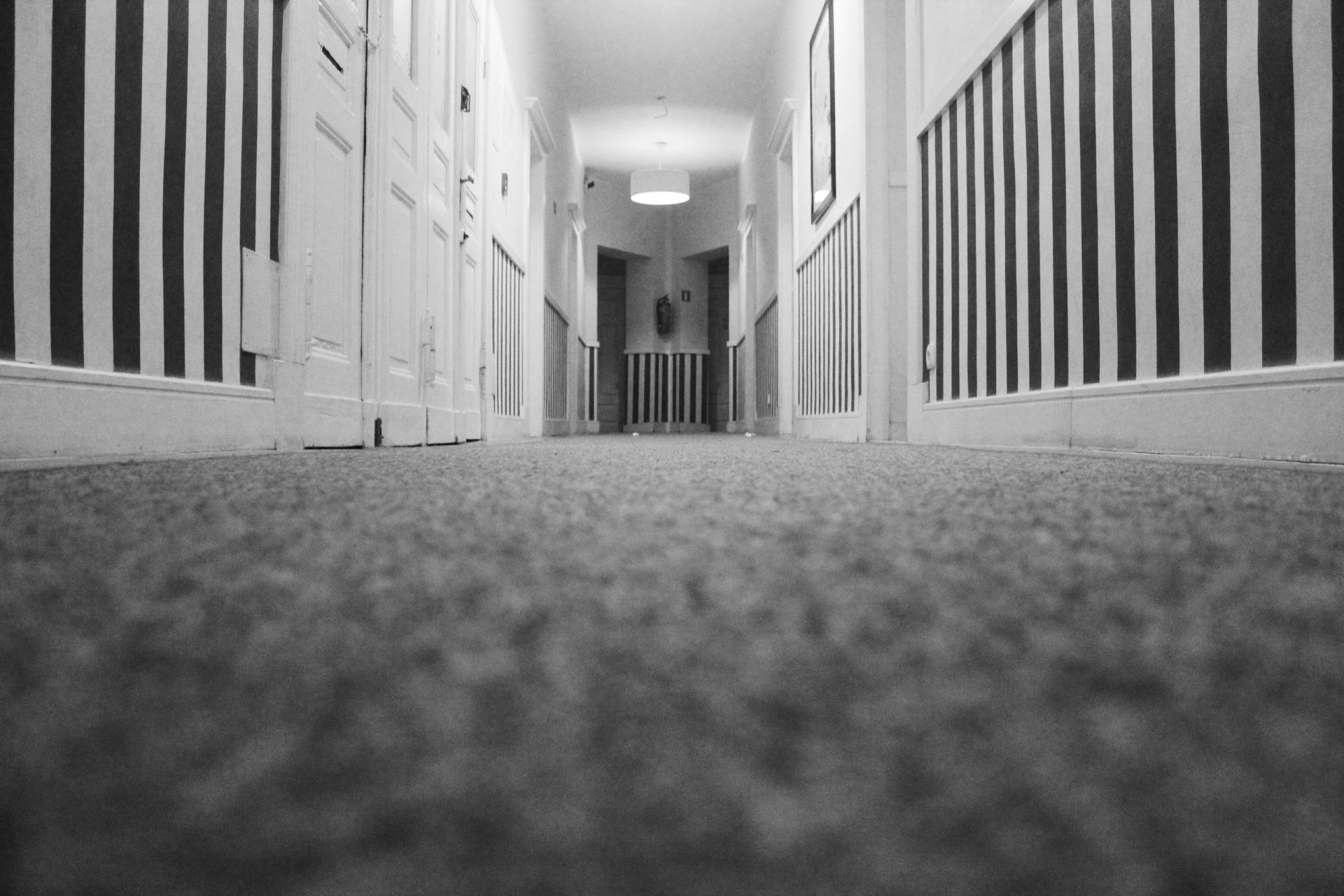 Your House Has a Dirt Highway - Professional Surface Restoration